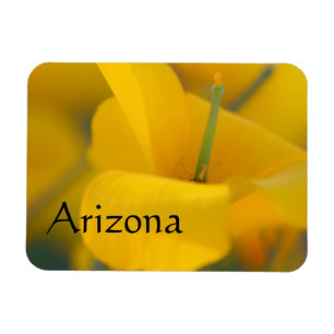 Field of blooming poppies, Arizona Magnet