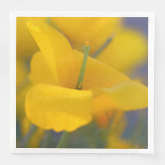 Field of blooming poppies napkin