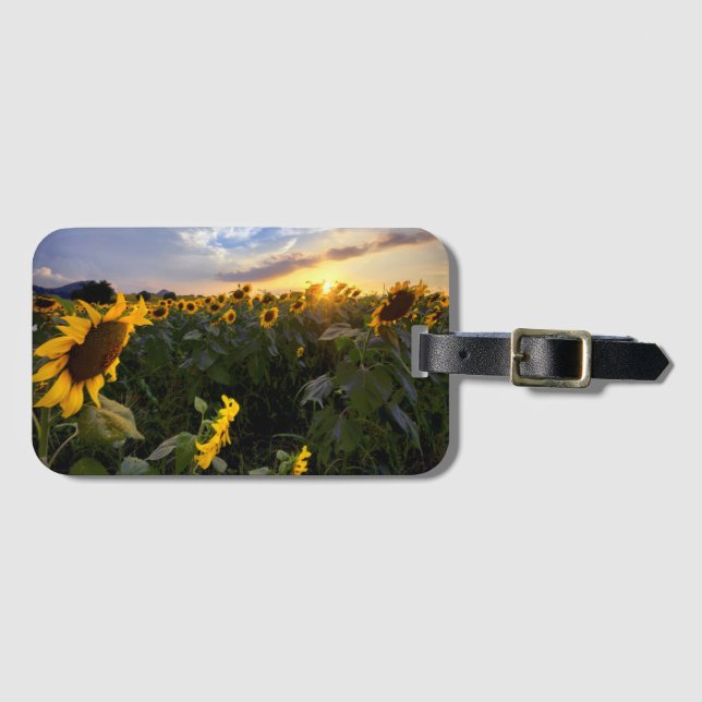 Field of Blooming Sunflowers Luggage Tag (Front Horizontal)