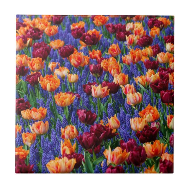 Field of Blue, Orange and Red Flowers Tile (Front)