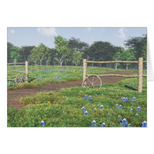 Field of Bluebonnets