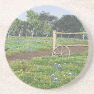 Field of Bluebonnets Coaster