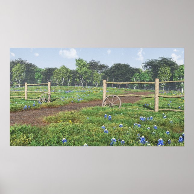 Field of Bluebonnets Poster (Front)