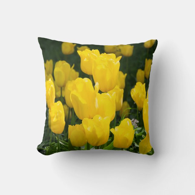 Field of bright yellow tulips cushion (Front)