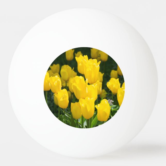 Field of bright yellow tulips   ping pong ball (Front)