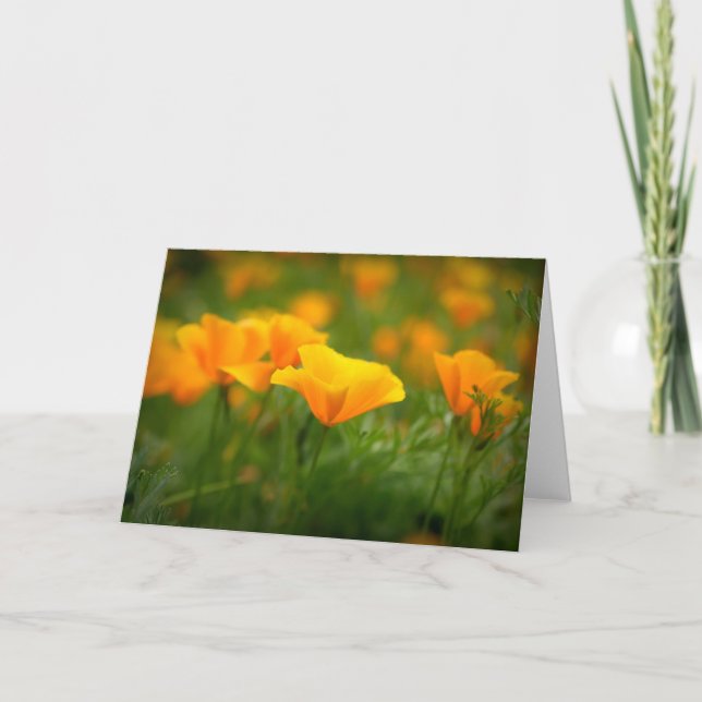 Field of California Poppies Orange Poppy Blank Card (Front)