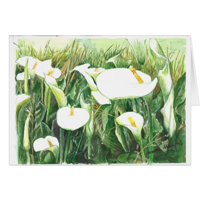 Field of Calle Lilies (Front Horizontal)