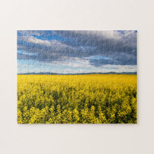 Field Of Canola In Late Evening Light Jigsaw Puzzle