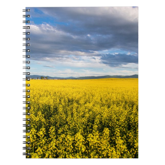 Field Of Canola In Late Evening Light Notebook (Front)