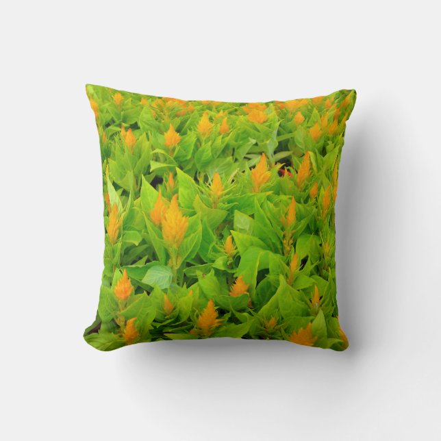 Field of Celosia Pillow (Front)