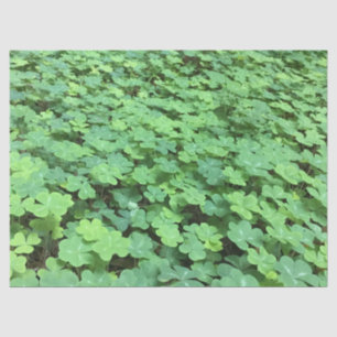 field of clover tissue paper