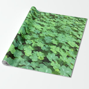 field of clover wrapping paper