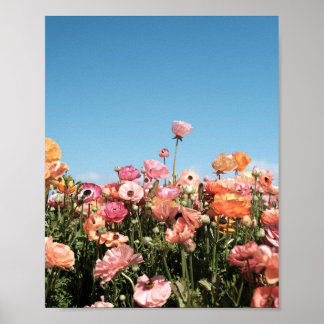 Field of colorful flowers poster print