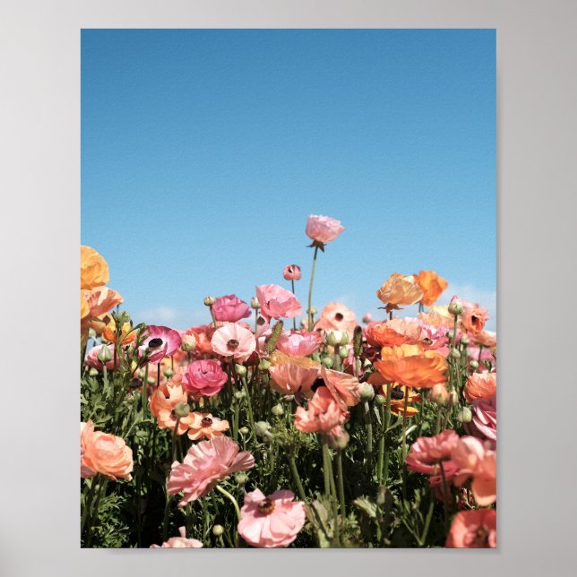 Field of colorful flowers poster print (Front)
