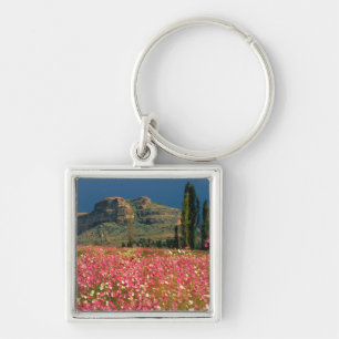 Field of Cosmos flowers, Fouriesburg District Key Ring