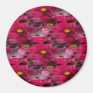 Field of Cosmos...... Magnet