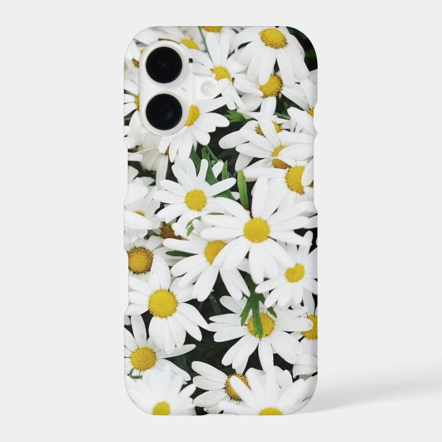 Field of Daisies (Back)