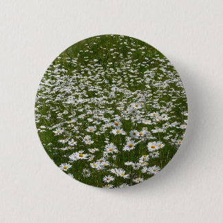 Field of Daisies Alaskan Wildflowers 6 Cm Round Badge