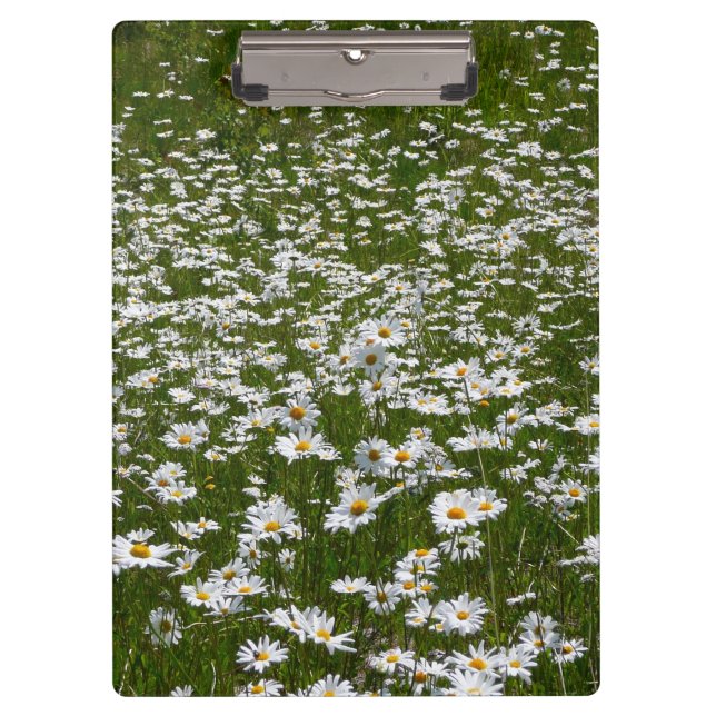 Field of Daisies Alaskan Wildflowers Clipboard (Front)