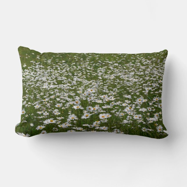 Field of Daisies Alaskan Wildflowers Lumbar Cushion (Front)