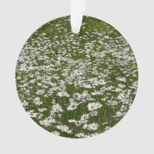 Field of Daisies Alaskan Wildflowers Ornament