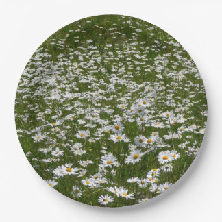 Field of Daisies Alaskan Wildflowers Paper Plate
