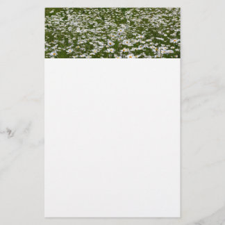 Field of Daisies Alaskan Wildflowers Stationery