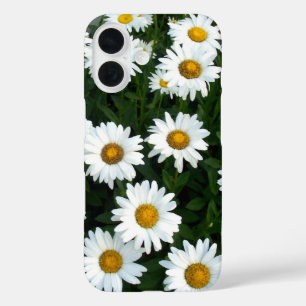 Field of Daisies iPhone Case