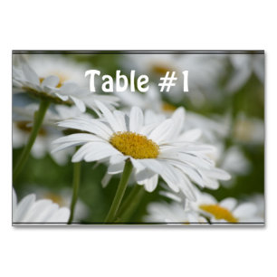 Field of Daisies Table Number