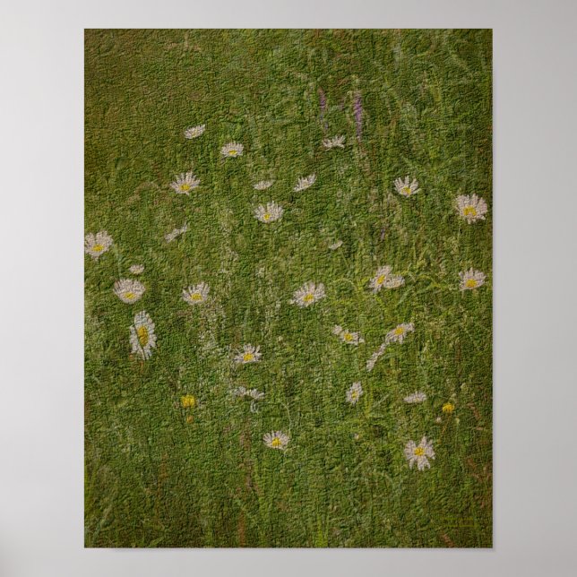 Field Of Daisies Textured Effect Floral Poster (Front)