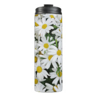 Field of Daisies