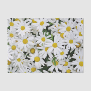 Field of Daisies Tissue Paper