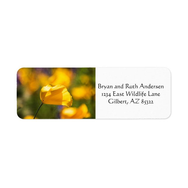 Field of dancing poppies (Front)