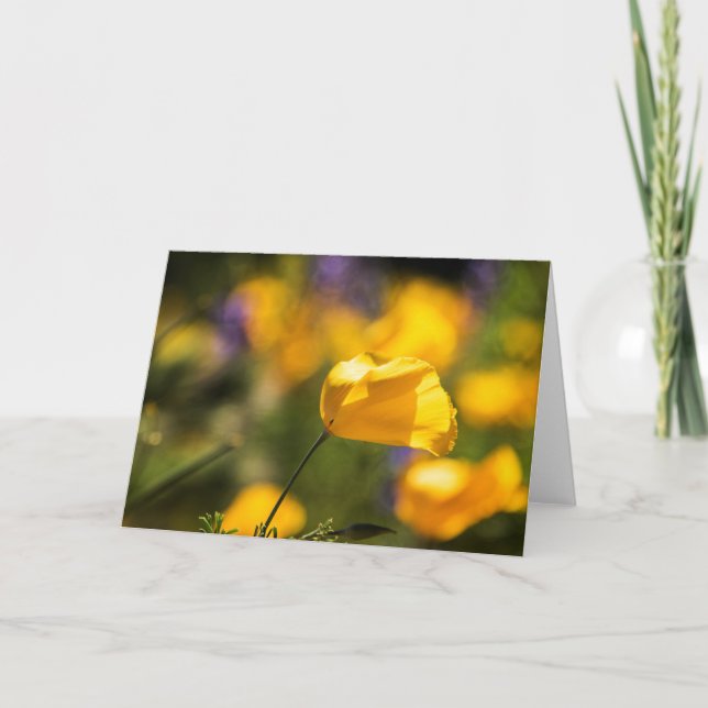 Field of dancing poppies card (Front)