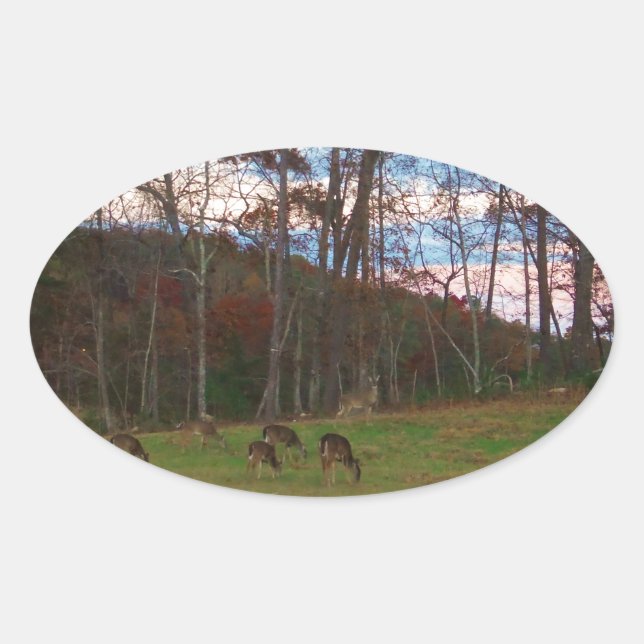 Field of Deer & a Pink SunSet Oval Sticker (Front)