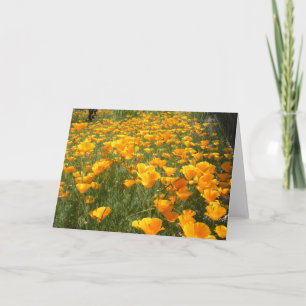 Field of Dreams Card