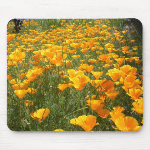 Field of Dreams Mouse Pad