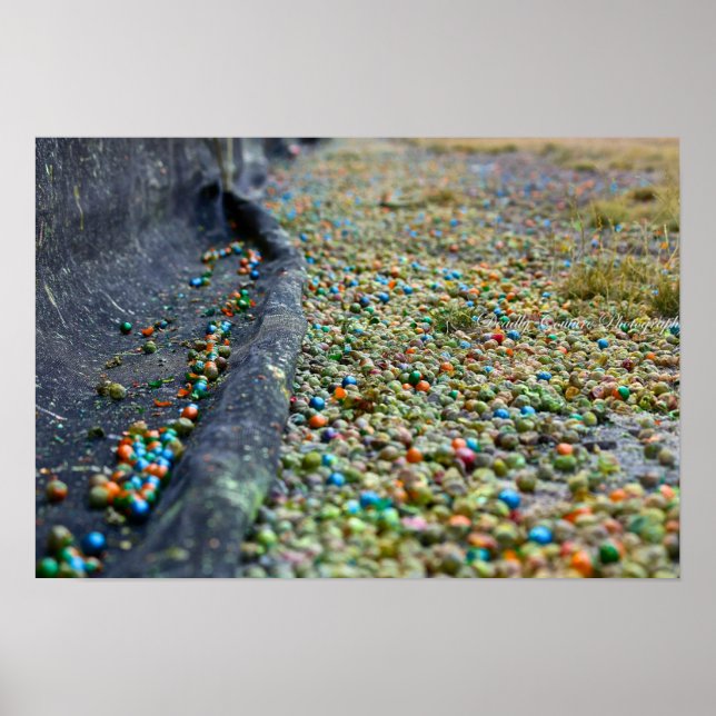 Field of Dreams Poster (Front)