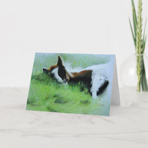 "Field of Dreams" Sleeping Foal Greeting Card