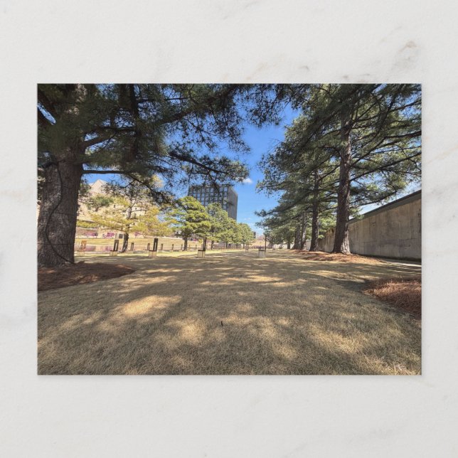 Field of Empty Chairs Postcard (Front)