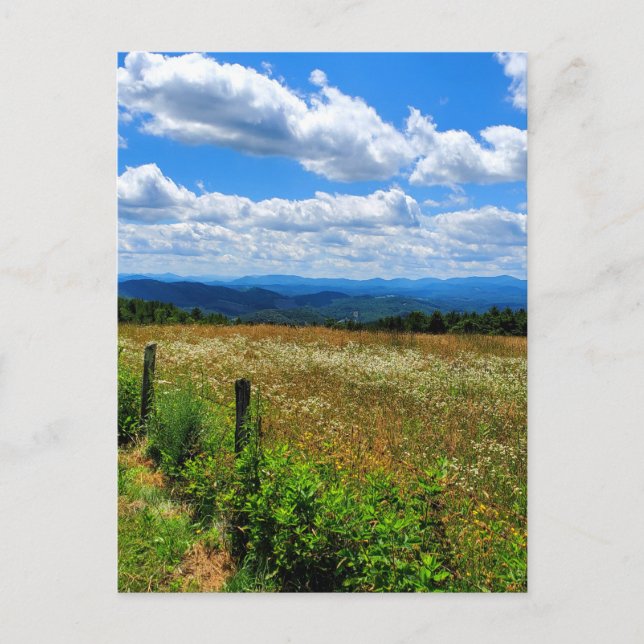 Field of Flowers and Mountains Postcard (Front)