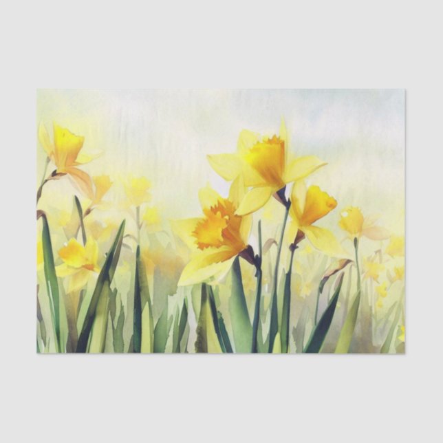 Field of Flowers-Daffodil (C) Watercolor  Tissue Paper (Front)