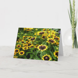 Field of Flowers General Greeting Card