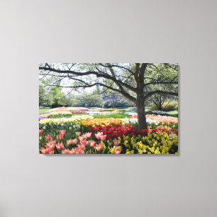 Field of flowers on a Spring morning Canvas Print