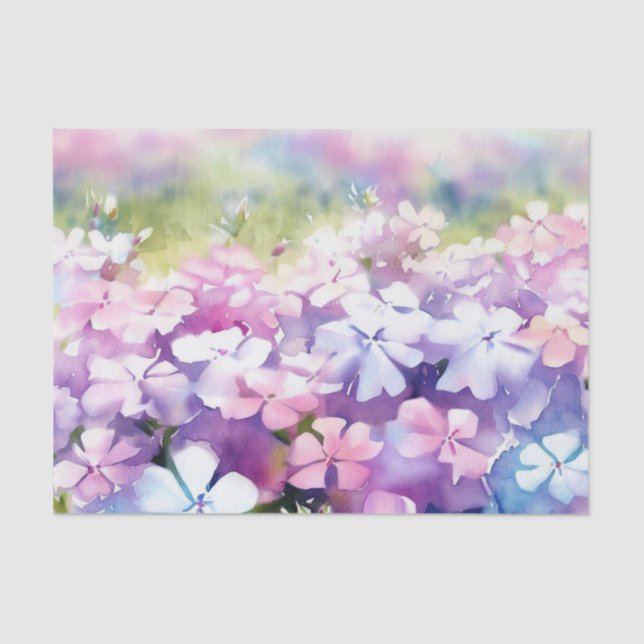 Field of Flowers-Phlox (D) Watercolor  Tissue Paper (Front)