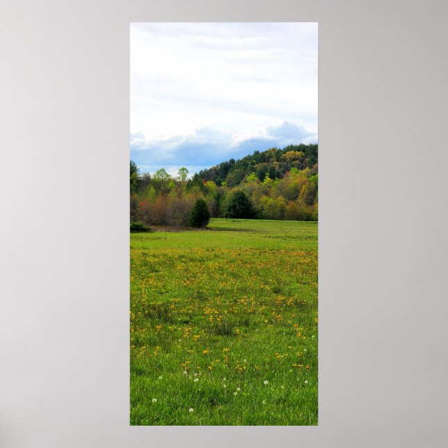 Field of Flowers Poster (Front)