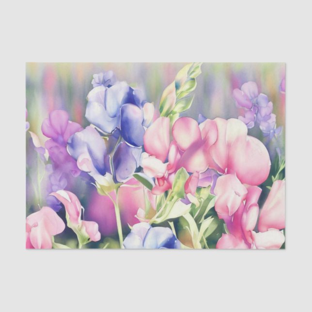 Field of Flowers-Sweet Pea (A) Watercolor  Tissue Paper (Front)