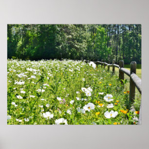 Field of Flowers with Rail Fence Poster