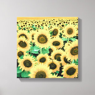 Field of Golden Yellow Sunflowers Canvas Print