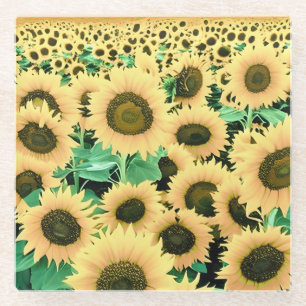 Field of Golden Yellow Sunflowers Glass Coaster